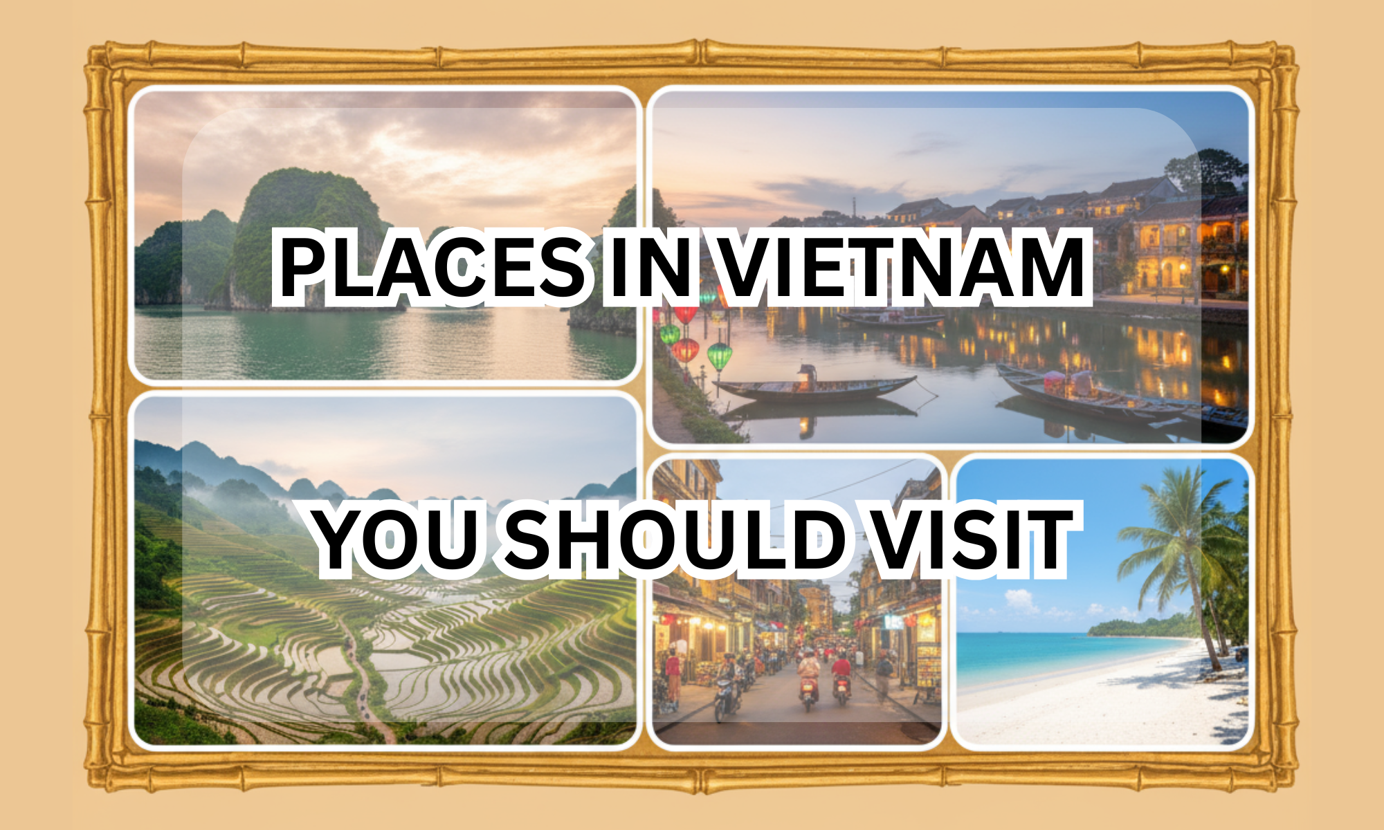 Places in Vietnam You Should Visit
